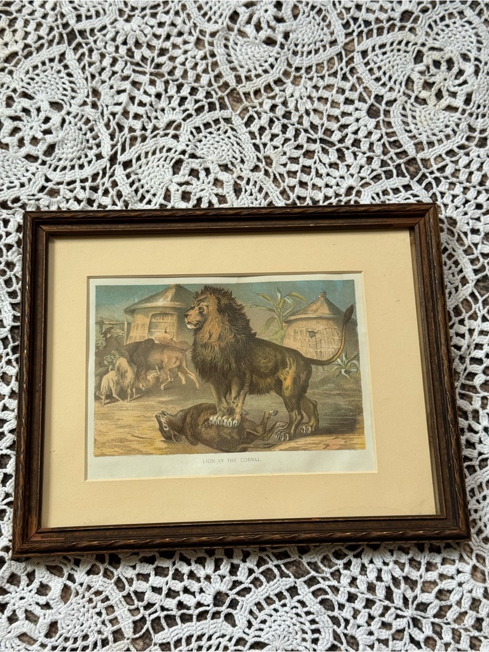Vintage Lion in the Corral Framed Print Antique Style Wildlife Art
